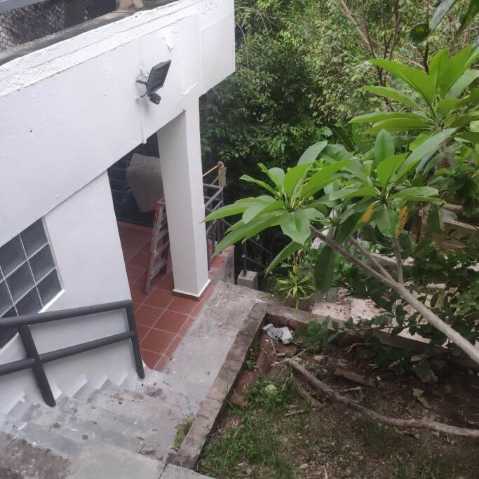 Kk Jungle Hideaway Lovely Apartment 5 Mins Walk To Town Kota Kinabalu Exteriér fotografie