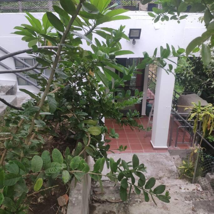 Kk Jungle Hideaway Lovely Apartment 5 Mins Walk To Town Kota Kinabalu Exteriér fotografie
